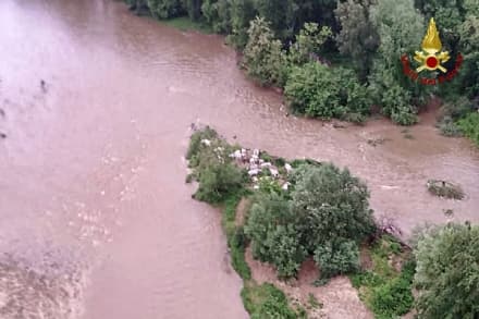 SAN BENIGNO - Mucche bloccate nel torrente Malone: intervento di salvataggio dei vigili del fuoco - FOTO