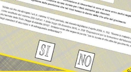 CANAVESE - Domenica si vota: i risultati in diretta dalle 23 su QC