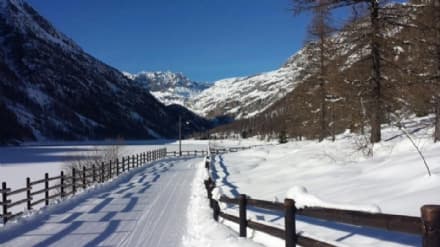 GRAN PARADISO - Si scia in Canavese!