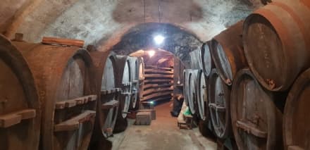 BORGOFRANCO - I Balmetti al Waterfestival Viverone 2020