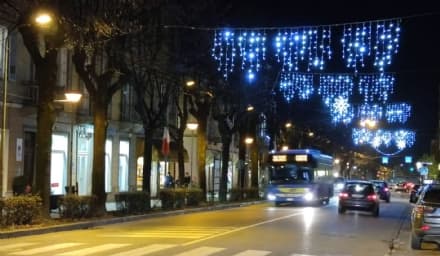 RIVAROLO CANAVESE - Ladri di alberi di Natale in azione in corso Torino