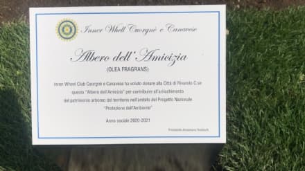 RIVAROLO CANAVESE - L'albero dell'amicizia donato dall'Inner Wheel Cuorgnè e Canavese - FOTO