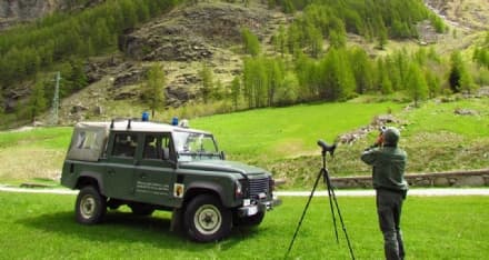 RONCO - Lavori abusivi nel Parco Gran Paradiso: uomo condannato