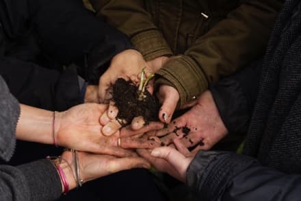 CUORGNE' - «Dall'ORTO con traspORTO». La bella idea di Andirivieni per un orto sociale - VIDEO