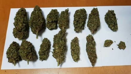 IVREA - Minorenni con la droga: due ragazzini denunciati - FOTO