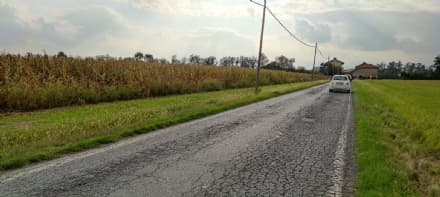 RIVAROLO CANAVESE - Un parco fotovoltaico al posto del granoturco: atteso a giorni il via libera della Città metropolitana