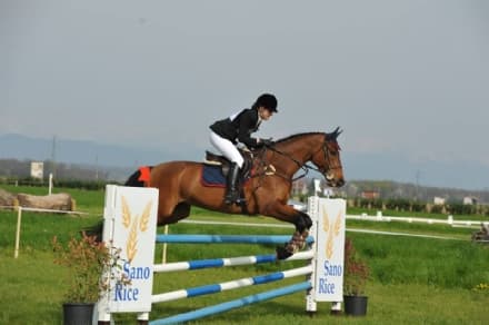 TRAGEDIA AL MANEGGIO - L'ultimo saluto a Sabrina Manganaro