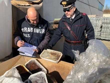 VEROLENGO - Cibo scaduto e pieno di parassiti trovato dai carabinieri - VIDEO
