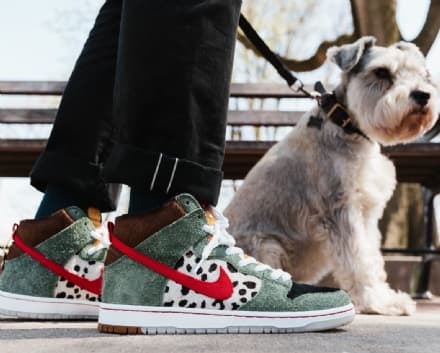 PET - Le sneaker per i bisognini