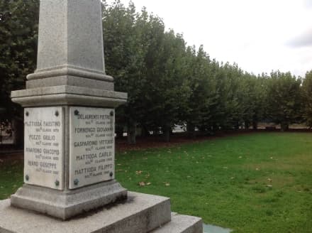 CICONIO - La battaglia per salvare i 60 platani della piazza