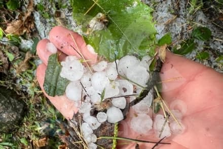 CANAVESE - Grandinata nella notte in diversi Comuni della zona - FOTO