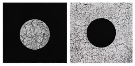 ARTE - Il chivassese Marco Poma presenta «Fragile» a Paratissima Torino