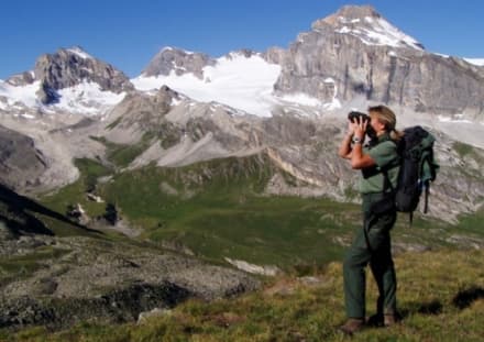 GRAN PARADISO - Niente presidente, l'ira di Avetta del Pd