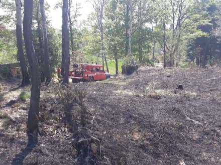 VIDRACCO - Incendio boschivo a Torre Cives: vigili del fuoco e squadre Aib al lavoro - FOTO