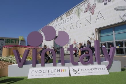 EVENTI - Chiude Vinitaly, l'edizione dei record