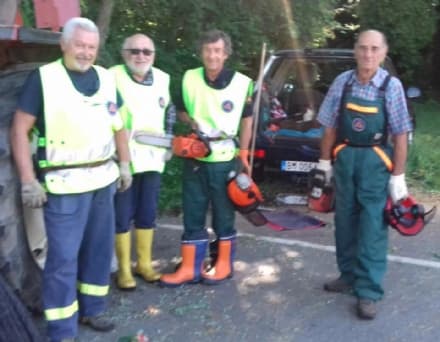 RIVAROLO - Alberi pericolanti: interviene la protezione civile