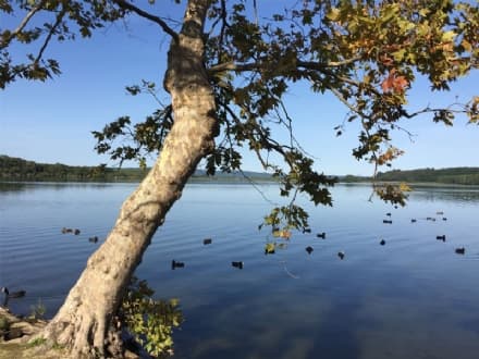 CANDIA CANAVESE - Il Parco provinciale del Lago compie 25 anni: è nato il primo marzo del 1995