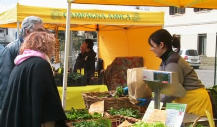 CUORGNE' - Il Comune ribadisce la sua fiducia alla Coldiretti: «Polemica da campagna elettorale»