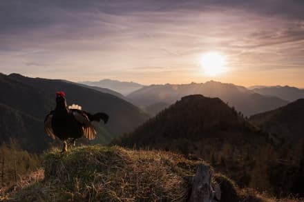 PNGP - Proclamati i vincitori del concorso internazionale "Fotografare il Parco"
