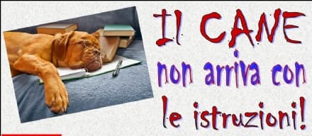 CIRIE' - Un corso gratuito per convivere con il cane