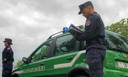 BORGOFRANCO D'IVREA - Abbandona l'auto in un campo: denunciato dai carabinieri forestali