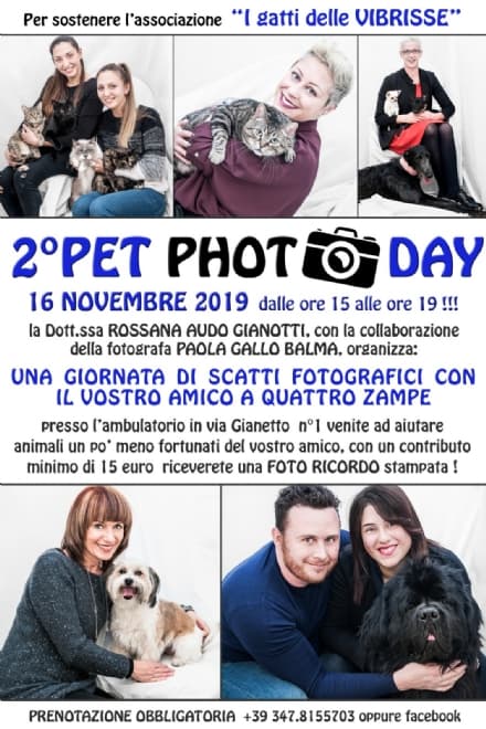 RIVAROLO - Un contest fotografico per aiutare l'associazione «Le Vibrisse» e i gatti meno fortunati