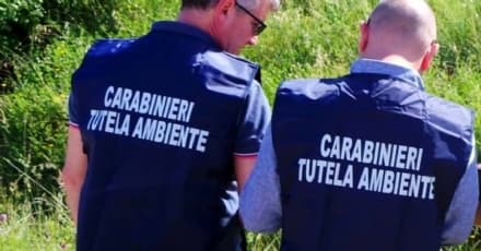 BORGARO - 1000 tonnellate di rifiuti nel capannone sequestrato dai carabinieri - VIDEO