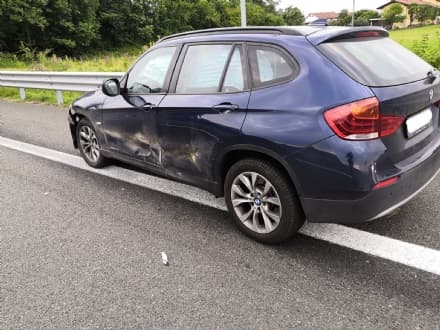 SAN GIORGIO - Auto investe un cinghiale. La Lega: «Incidenti anche frutto dell'ecologismo di facciata»