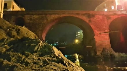 IVREA - Pietre contro i canoisti nella Dora? Forse il gesto di qualche ragazzino annoiato