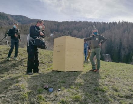 PARCO GRAN PARADISO - La liberazione dell'aquila Mario su Rai Uno