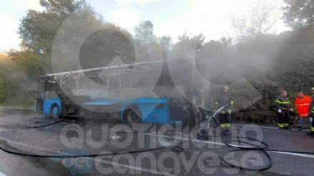 TORRE - Incendio devasta pullman Gtt sulla linea Rivarolo-Ivrea: la procura di Ivrea aprirà un'inchiesta