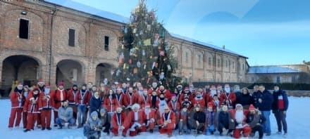 CHIVASSO - Presepe e albero di Natale alla Mandria - FOTO