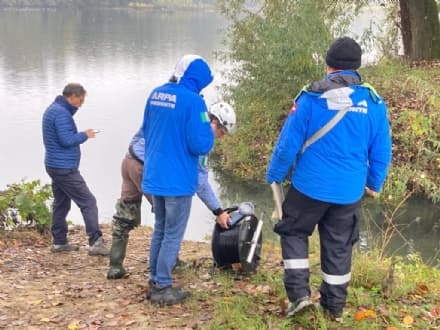 CHIVASSO - Moria di pesci, colpa della mancanza di ossigeno nell'acqua - FOTO