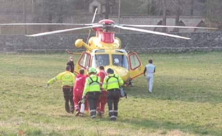 CASTELLAMONTE - Travolto da un albero mentre fa legna a Spineto, 57enne grave al Cto