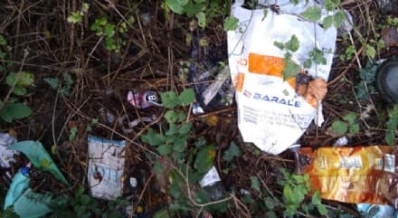 CANAVESE - Maiali in azione vicino ai corsi d'acqua: discariche abusive lungo il Malesina e l'Orco - FOTO e VIDEO