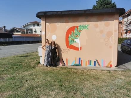 BORGARO - Le cabine elettriche diventano opere d'arte grazie a Elisabetta Mastro - FOTO