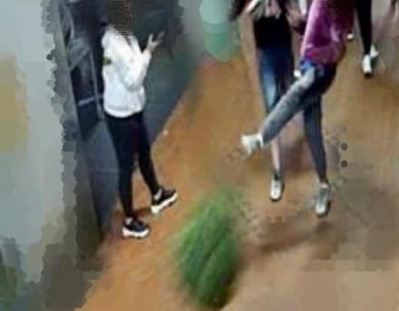 RIVAROLO CANAVESE - «Partita di calcio» sotto i portici, il pallone è una pianta. Baby vandali immortalati dalle telecamere