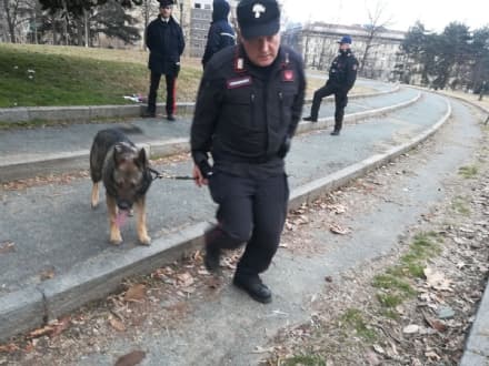 DROGA - Il fiuto del cane Quark scova 2000 dosi di stupefacente - VIDEO