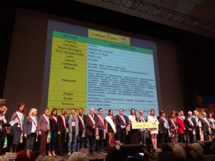 RONCO CANAVESE - Il Comune si aggiudica 2 fiori al concorso nazionale Comuni fioriti