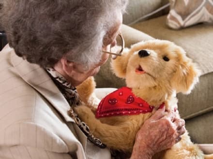 CURIOSITA' - Il negozio di giocattoli per la terza età