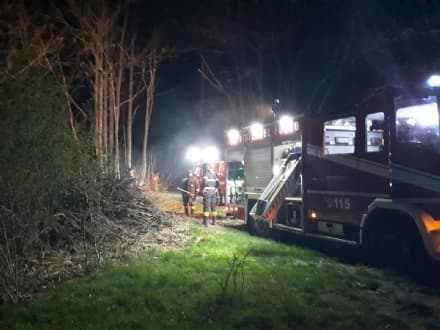 RUEGLIO - Bruciano ramaglie ma il fuoco si estende al bosco: intervento dei pompieri - FOTO