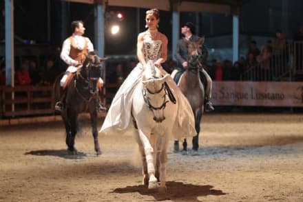 IVREA - «Cavalli in città», la Festa Patronale di San Savino è ad una svolta