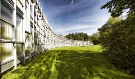 IVREA SARÀ PATRIMONIO DELL'UMANITÀ UNESCO - VIDEO