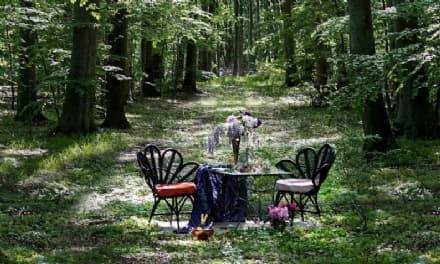 RISTORANTI - A cena in una foresta svedese