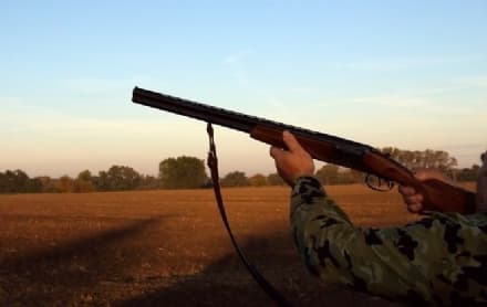 CANAVESE - Domenica all'alba inizia la stagione di caccia: si spara ai cinghiali