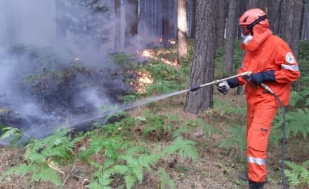 PRASCORSANO - Incendi in Calabria: aiuti anche dal Canavese grazie al volontario Aib Domenico Beltramo - FOTO