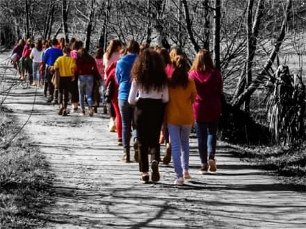 VOLPIANO - «Un miglio per la legalità», le scuole contro la mafia