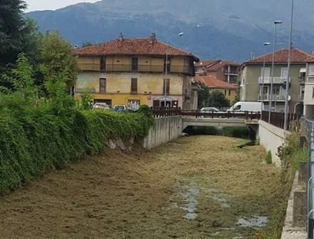 CASTELLAMONTE - Un richiedente asilo pulisce il rio San Pietro