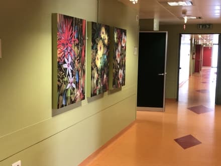IVREA - L'arte entra in ospedale: rinnovato il reparto ostetricia e ginecologia con quadri, musica e aromaterapia