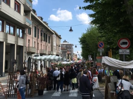 CUORGNE' - Grande successo di pubblico per Florarte 2016